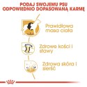 ROYAL CANIN BHN Labrador Retriever Adult - sucha karma dla psa dorosłego - 12 kg