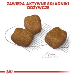 ROYAL CANIN CCN Mini Dental Care - sucha karma dla dorosłych psów - 3 kg