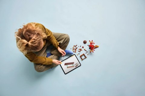 LEGO Harry Potter 76448 Fawkes: feniks Dumbledore'a