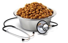 FARMINA Vet Life Hypoallergenic Pork & Potato - sucha karma dla psa - 2 kg