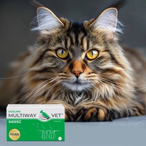 JM SANTE MULTIWAY DUOCAPS SIERŚĆ 60 kaps