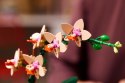 LEGO ICONS 10343 Botanicals - Mała orchidea