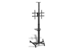 Stojak mobilny DIGITUS DA-90370 (37