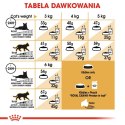 ROYAL CANIN Persian Adult - karma dla kota rasy pers - 2kg
