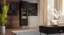 Witryna CORTINA 53x40x182 czarny