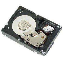 DELL 400-AUST dysk twardy 2 TB 7200 RPM 3.5