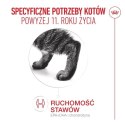 ROYAL CANIN FHN Cat Ageing 11+ 2kg