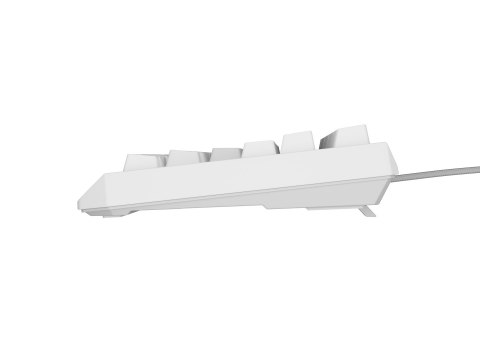 GENESIS Thor 230 TKL klawiatura USB + RF QWERTY