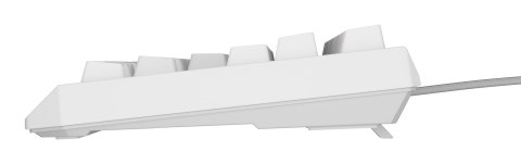 Klawiatura GENESIS Thor 230 TKL Gaming USB QWERTY US English Biały