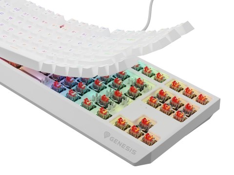 Klawiatura GENESIS Thor 230 TKL Gaming USB QWERTY US English Biały