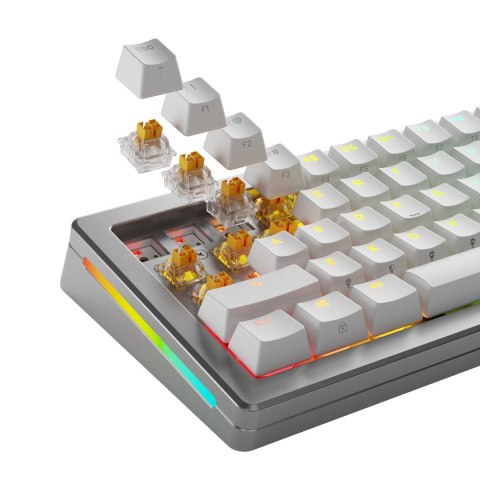 Glorious Gaming GLO-KB-ACC-SWT-PANDA-HE-36 bez kategorii