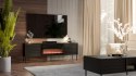 Szafka RTV CORTINA 180x40x60 czarny + kominek czarny