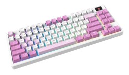 Klawiatura gamingowa VIOLET US/FORGE GK600 TKL W VIOLET MSI