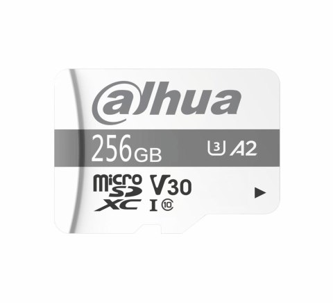 Karta pamięci SD Dahua TF-P100 256GB MicroSD UHS-I Klasa 10 (1.0.99.80.10039)