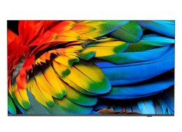 Philips 43HFL6214U 109,2 cm (43