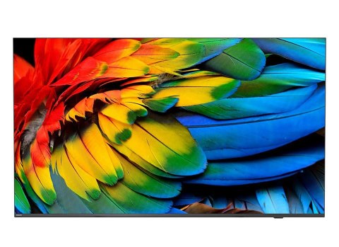 Telewizor hotelowy PHILIPS 50HFL6214U/12 126.0cm (50") MediaSuite [klasa energetyczna F]