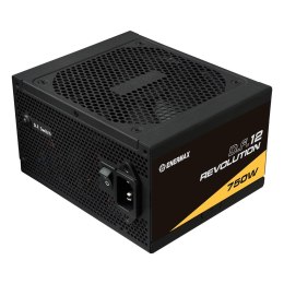 Enermax Revolution D.F.12 Zasilacz 750 W 20+4 pin ATX ATX (ETV750G)
