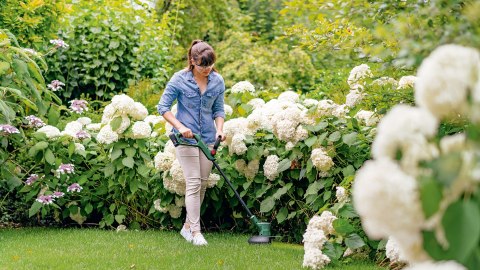 Bosch EasyGrassCut 18V-26 26 cm Bateria Czarny, Zielony